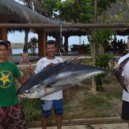 GORDO BANKS PANGAS Fish Report to August 21, 2015