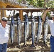 GORDO BANKS PANGAS Fish Report to March 06, 2015