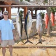 GORDO BANKS PANGAS Fish Report to May 20, 2016