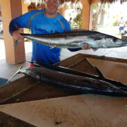 GORDO BANKS PANGAS Fish Report to September 18, 2015