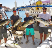 Pisces Weekly Fish Report March 05th to March 11th 2016