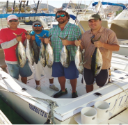 Pisces Weekly Fish Report February 06th to February 12th, 2016