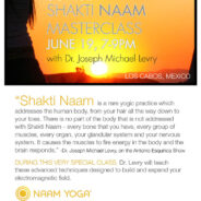 SuNSeT Shakti Naam
