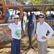 GORDO BANKS PANGAS Fish Report to November 28, 2014
