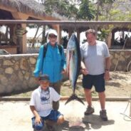 GORDO BANKS PANGAS Fish Report to April 17, 2015