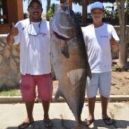 GORDO BANKS PANGAS Fish Report to June 24, 2016