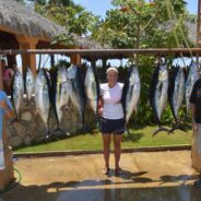 GORDO BANKS PANGAS Fish Report August 8th, 2014
