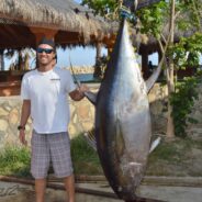 GORDO BANKS PANGAS Fish Report to August 14, 2015