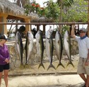 GORDO BANKS PANGAS Fish Report to March 20, 2015