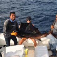 PISCES WEEKLY FISH REPORT September 5th TO  September 11th, 2015
