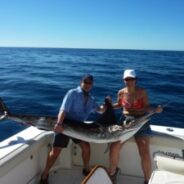 PISCES WEEKLY FISH REPORT of January 24th to 30th, 2015