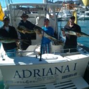 PISCES WEEKLY FISH REPORT of January 10th to 16th, 2015