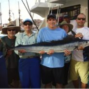 PISCES WEEKLY FISH REPORT November 14th TO  November 20th, 2015