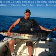PISCES WEEKLY FISH REPORT December 5th TO  December 11th, 2015