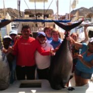 PISCES WEEKLY FISH REPORT JUNE 20th TO 26th, 2015