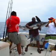 PISCES WEEKLY FISH REPORT MAY 9th TO 15th, 2015