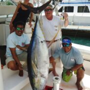 PISCES WEEKLY FISH REPORT July 18th TO 24th, 2015