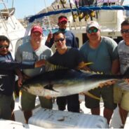 PISCES WEEKLY FISH REPORT JUNE 13th TO 19th, 2015