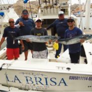 PISCES WEEKLY FISH REPORT August 29th TO  September 4th, 2015