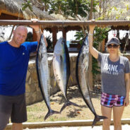 GORDO BANKS PANGAS Fish Report to May 22, 2015