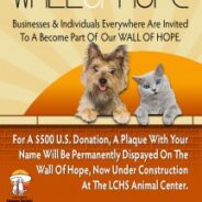 Los Cabos Humane Society Builds ‘Wall of Hope’