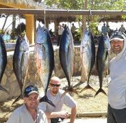 GORDO BANKS PANGAS Fish Report to February 20, 2015