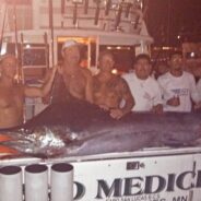 Cabo San Lucas 544 Pound Blue Marlin