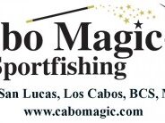 Cabo Magic Sportfishing Fish Report, October 5, 2013