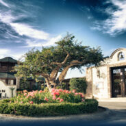 Colegio Mission – English Language School – San Jose del Cabo