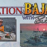 Destination Baja Sur with Bill Boyce