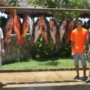 GORDO BANKS PANGAS Fish Report August 15, 2014