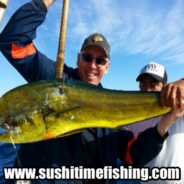 Sushi Time Fish Report to February 21
