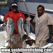 Sushi Time Fish Report to March 14th