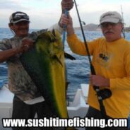 Sushi Time Fish Report to February 28