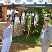 Gordo Banks Pangas Fish Report November 30, 2013