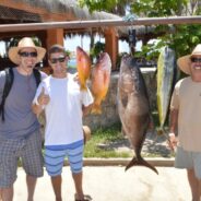 GORDO BANKS PANGAS Fish Report to August 19th, 2016