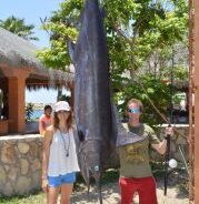 GORDO BANKS PANGAS Fish Report to August 12th, 2016