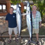 GORDO BANKS PANGAS Fish Report to December 9th, 2016