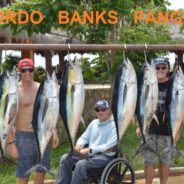 GORDO BANKS PANGAS Fish Report to September 10, 2016
