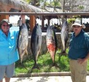 GORDO BANKS PANGAS Fish Report to September 24, 2016