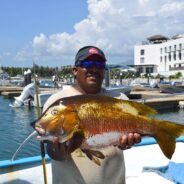 Gordo Banks Fish Report, 27 September 2013