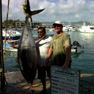 Cabo Fish Report September 14 to September 24, 2015