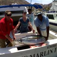 Cabo Fish Report August 29 to September 8, 2015