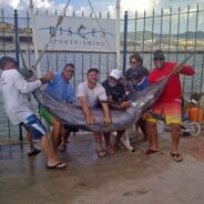 Pisces Fish Report Nov 08 to Nov 15, 2013