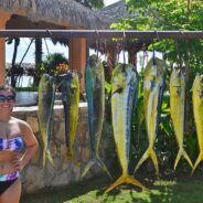 Gordo Banks Fishing Report Nov 02 to Nov 09