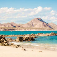 June 19: Dr. Joseph Michael Levry Leads Special Shakti Naam Class