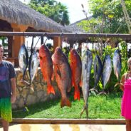 Gordo Banks Fish Report October 18, 2013