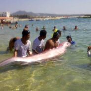 A favorite is re-posted – Oarfish!