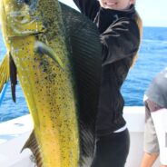 Pisces Sportfishing Cabo Fish Report Dec 28, 2013 to Jan. 3, 2014