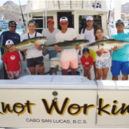 Pisces Weekly Fish Report March 19th to March 25th 2016